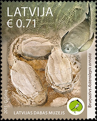 latvia natural history museum stamp