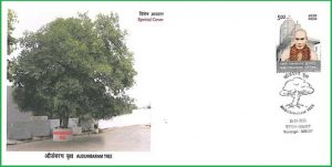 Special Cover Audambaram Tree